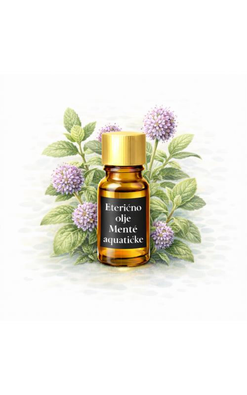 Eterično olje - Menta