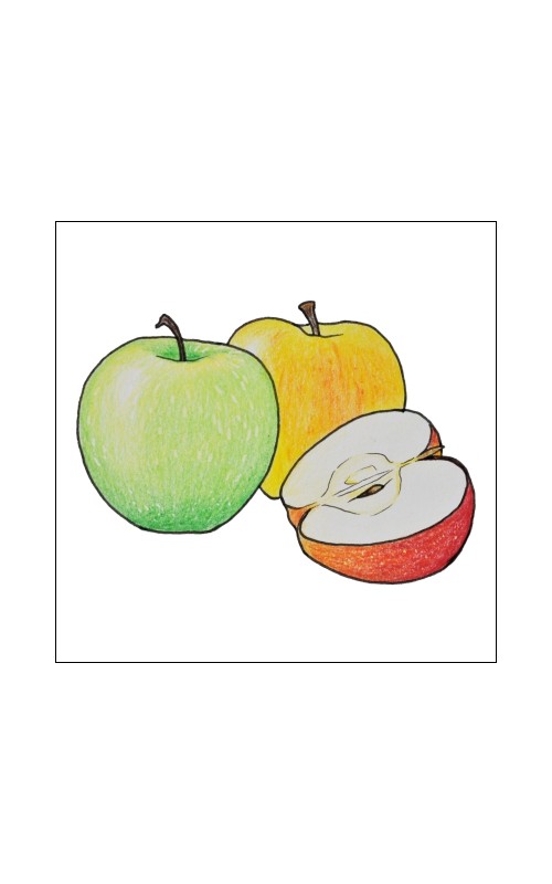 Sadjevec Letnik 2025