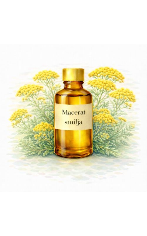 Helichrysum italicum