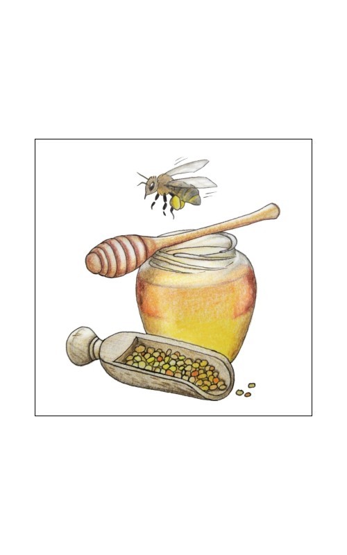 Cvetlični med